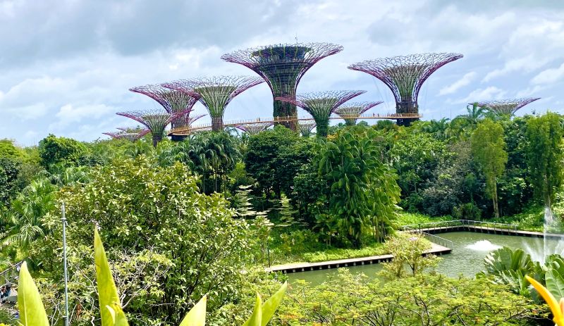 Gardens by the Bay Singapur